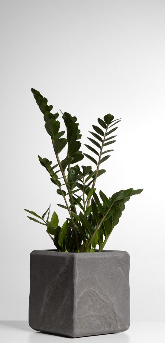 зображення_viber_2025-03-03_13-41-35-063 зображення_viber_2025-03-03_13-41-35-063